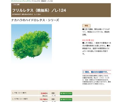 フリルレタス（晩抽系）／L-124の画像