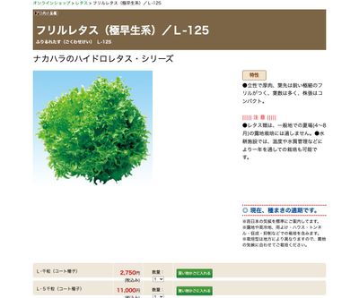 フリルレタス（極早生系）／Ｌ-125の画像