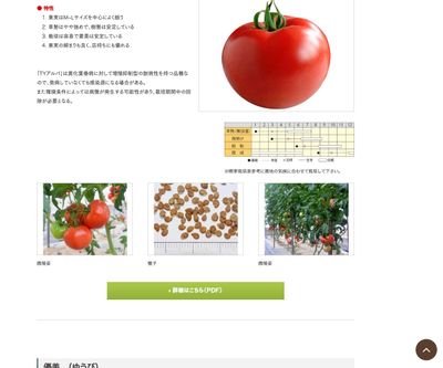 TYアルバの画像