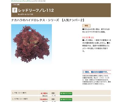 レッドリーフ／L-112の画像