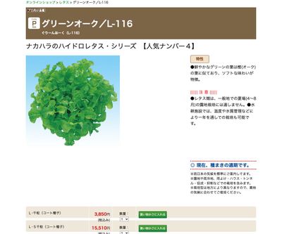 グリーンオーク／L-116の画像