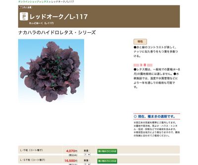 レッドオーク／L-117の画像