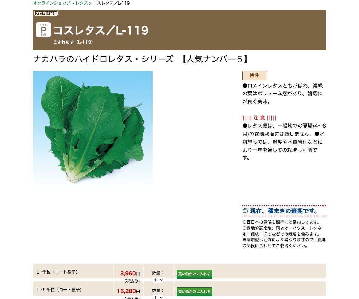 コスレタス／L-119