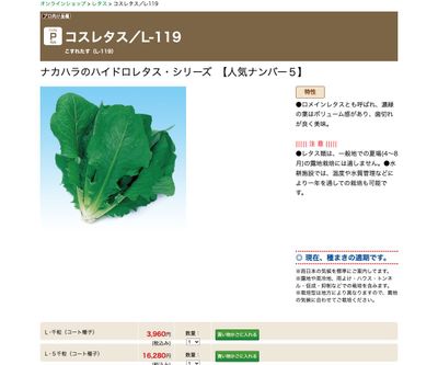 コスレタス／L-119の画像