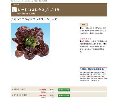 レッドコスレタス／L-118の画像
