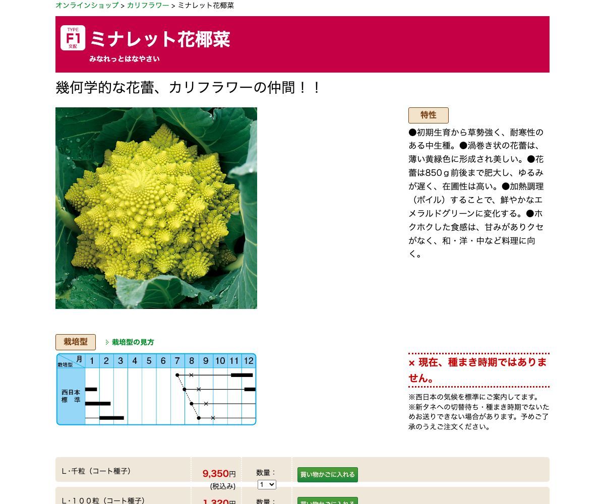 ミナレット花椰菜