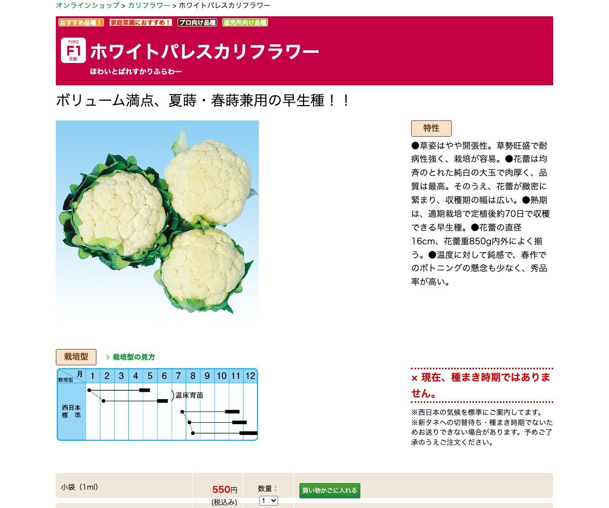 ホワイトパレスカリフラワー