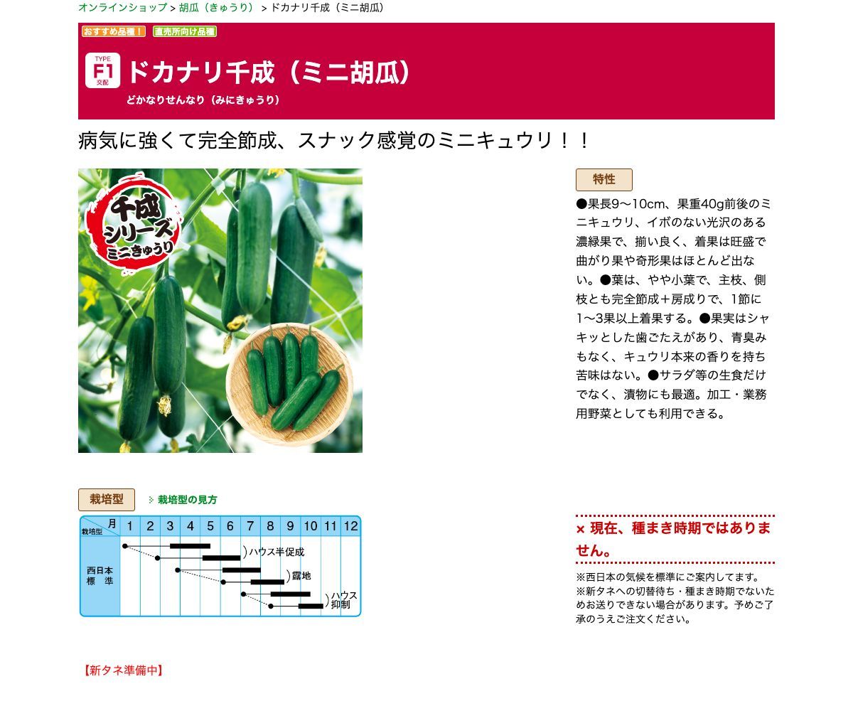 ドカナリ千成（ミニ胡瓜）