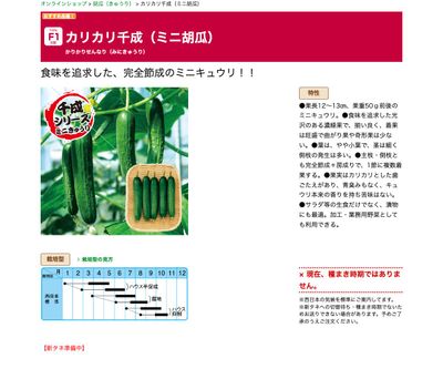 カリカリ千成（ミニ胡瓜）の画像