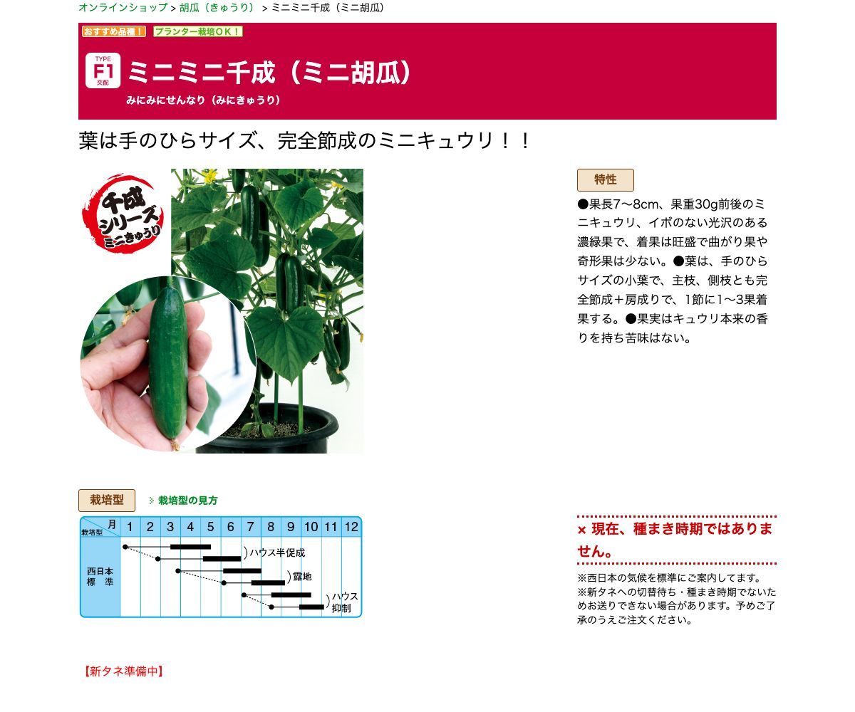 ミニミニ千成（ミニ胡瓜）