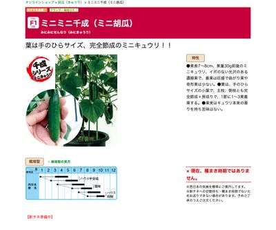 ミニミニ千成（ミニ胡瓜）の画像