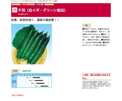 千羽（白イボ・グリーン胡瓜）の画像