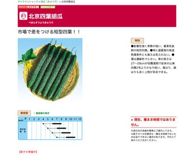 北京四葉胡瓜の画像