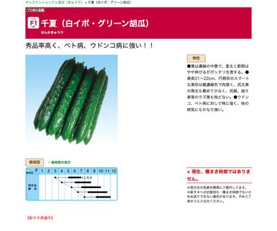 千夏（白イボ・グリーン胡瓜）の画像