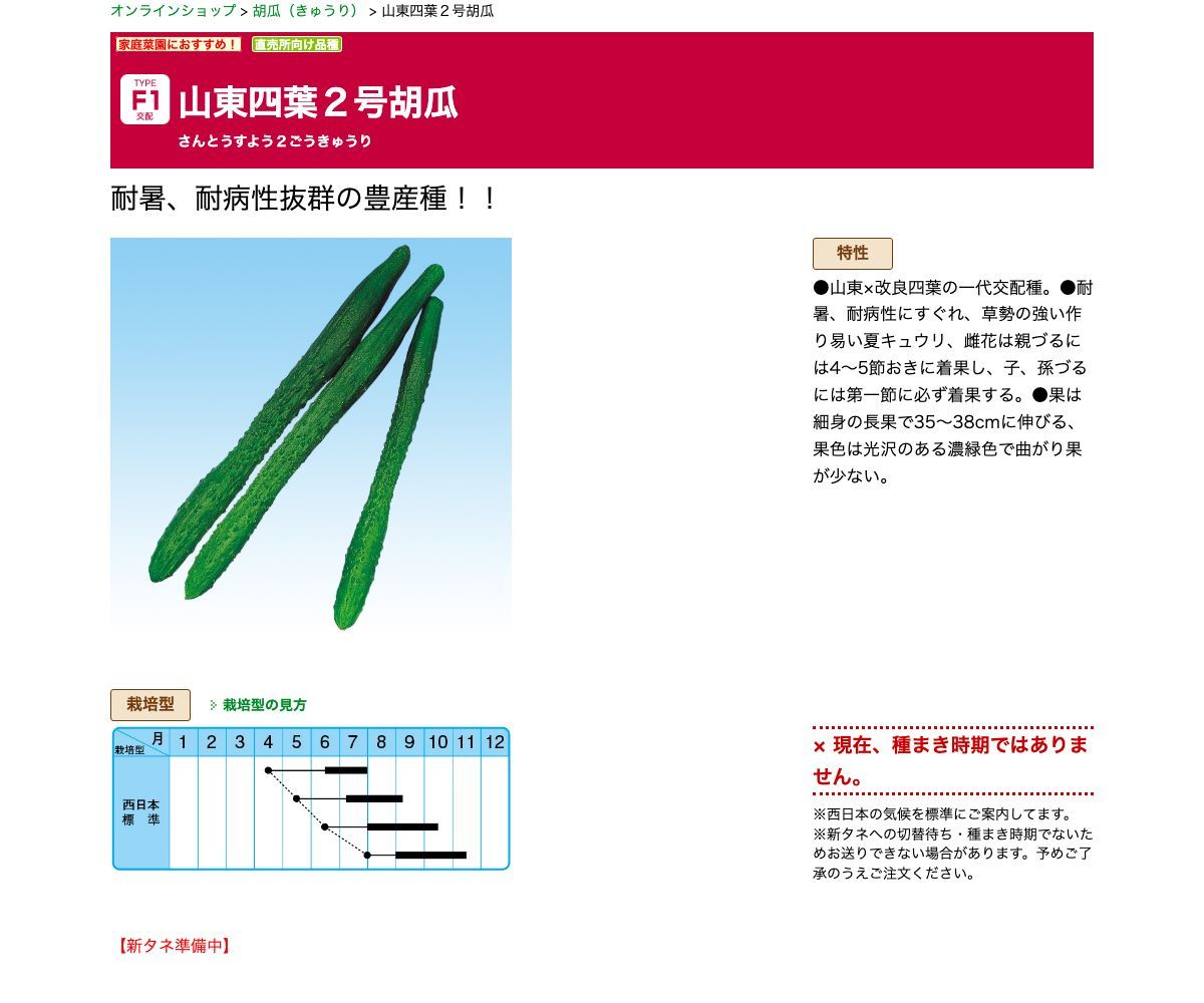 山東四葉２号胡瓜