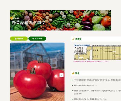 桃太郎ヨークの画像