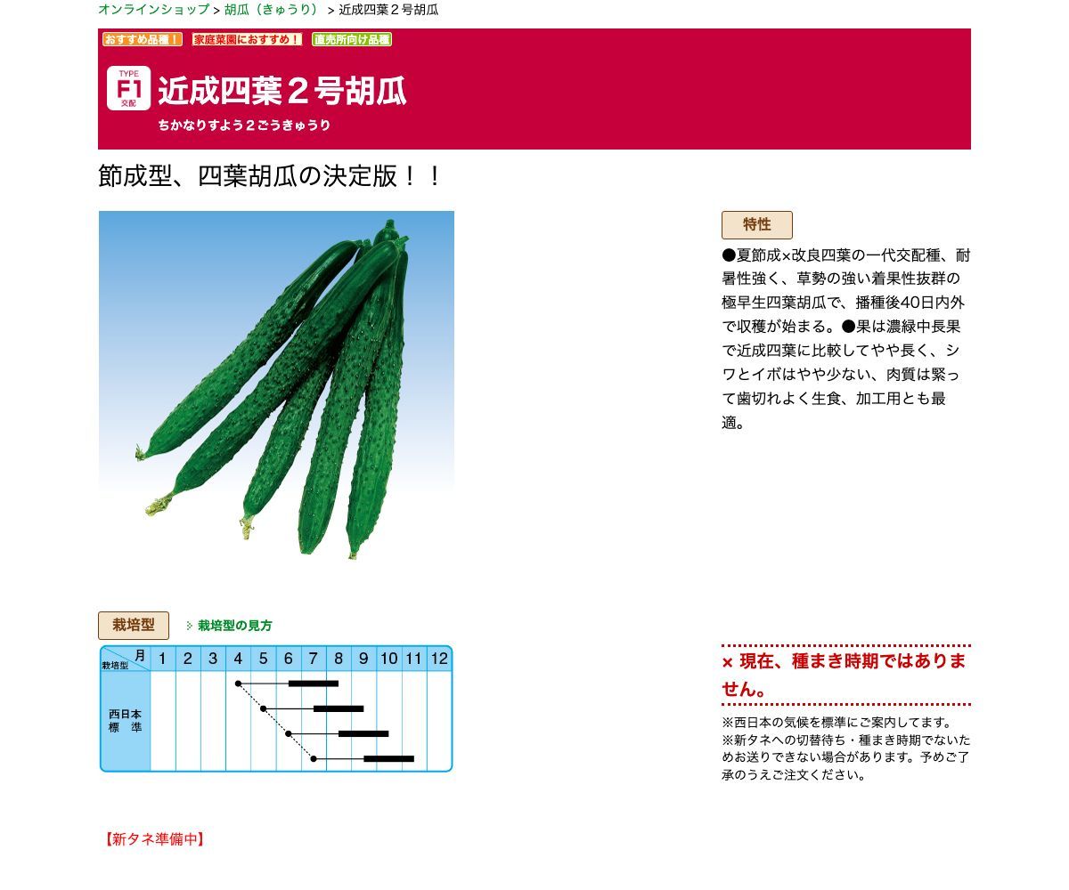 近成四葉２号胡瓜