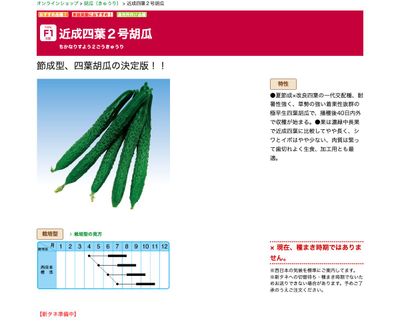 近成四葉２号胡瓜の画像