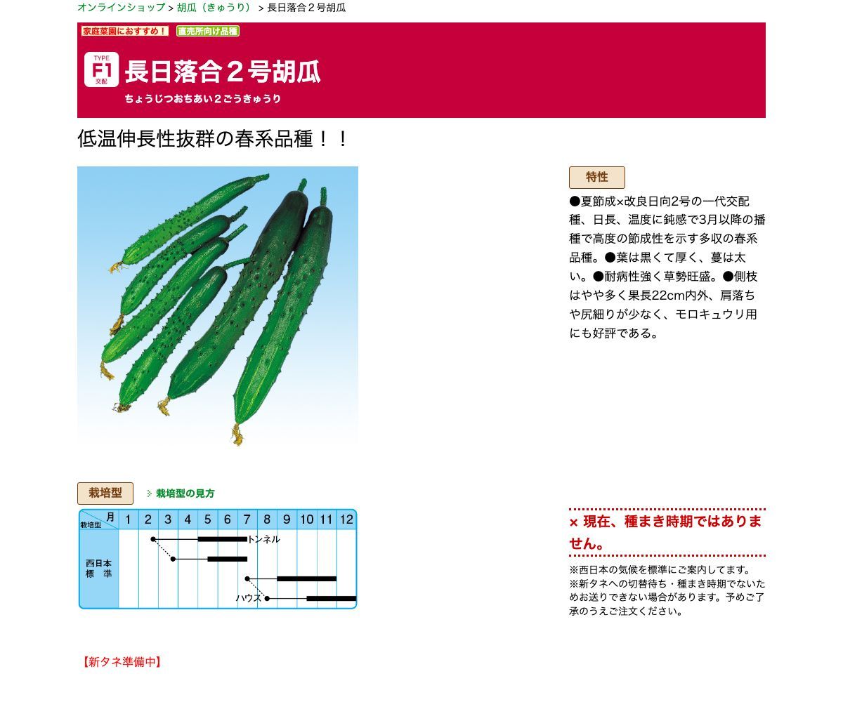 長日落合２号胡瓜