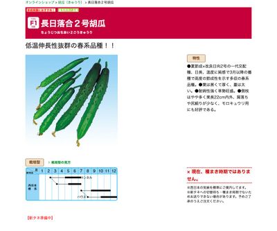 長日落合２号胡瓜の画像