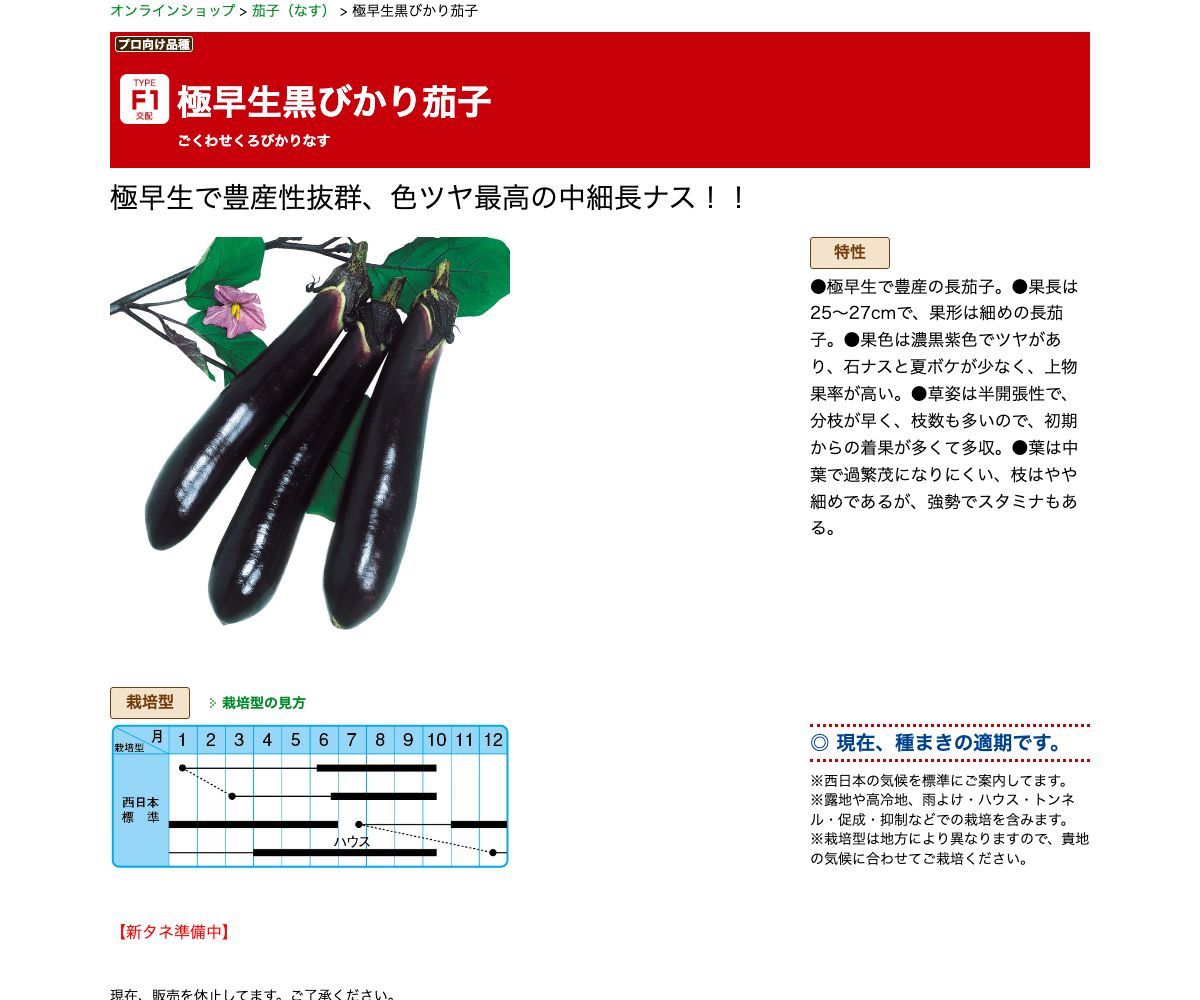 極早生黒びかり茄子