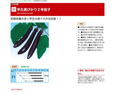 早生黒びかり２号茄子の画像