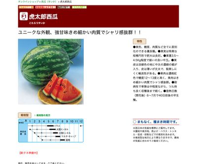 虎太郎西瓜の画像