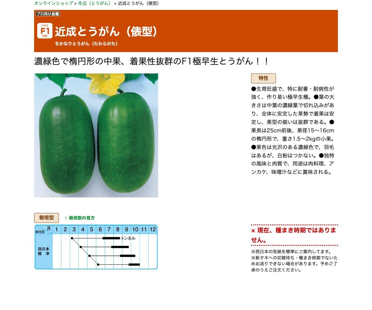 近成とうがん（俵型）