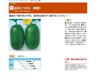 近成とうがん（俵型）の画像