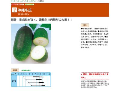 沖縄冬瓜の画像