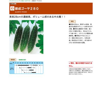 節成ゴーヤ２８０の画像