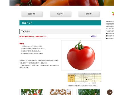 ワンダーボール50の画像