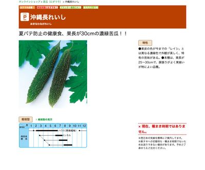 沖縄長れいしの画像