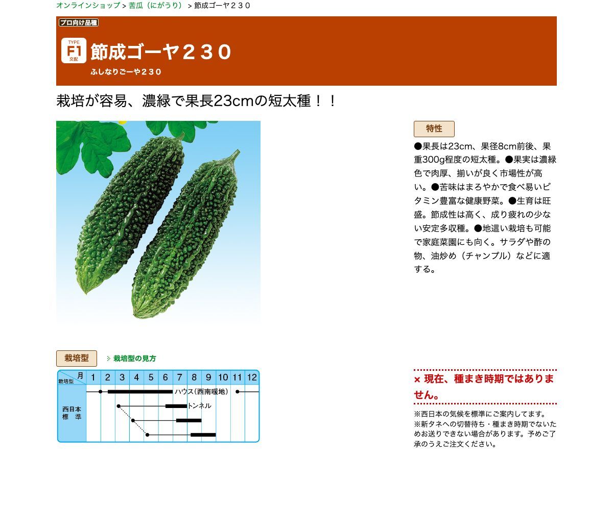 節成ゴーヤ２３０