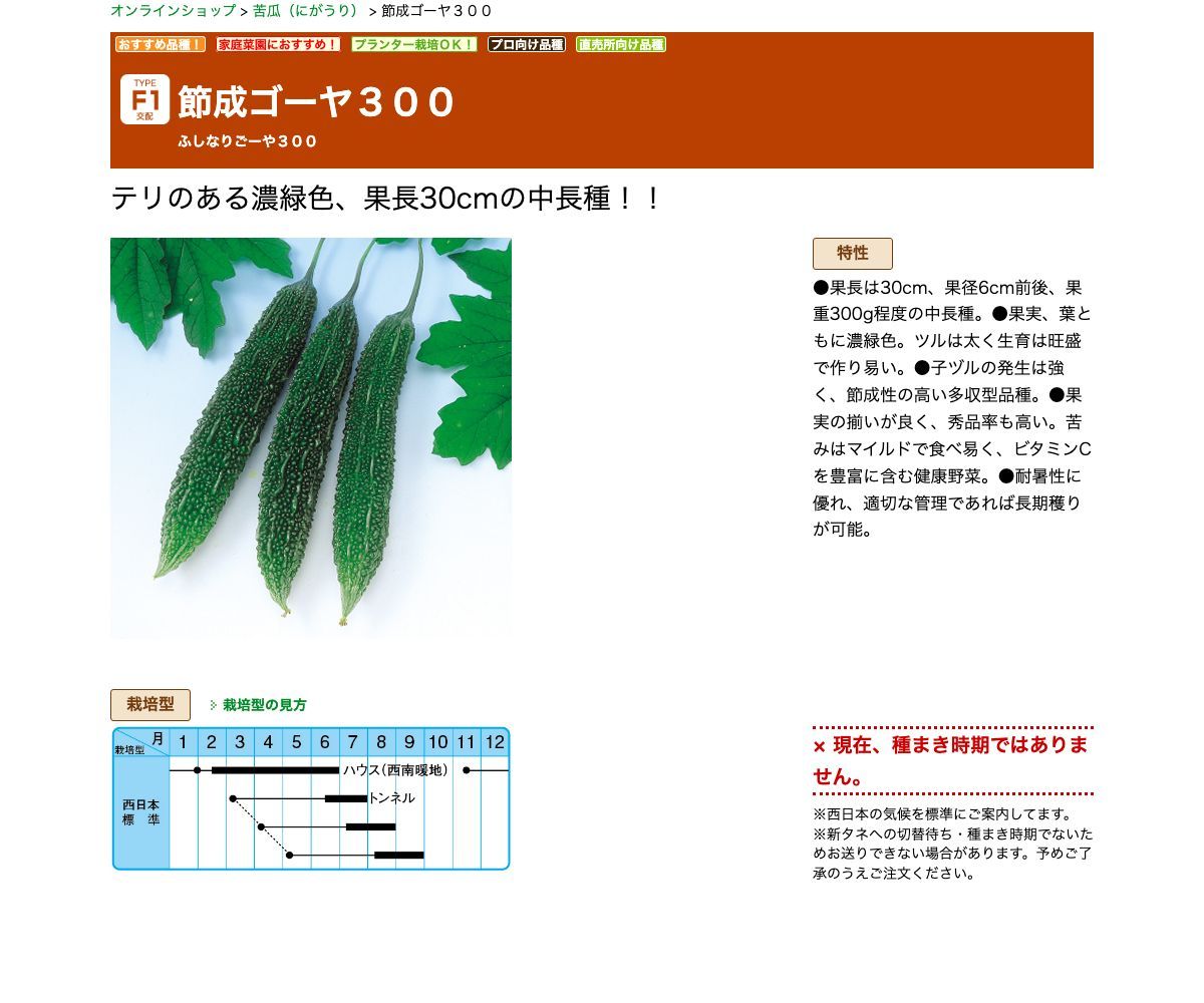 節成ゴーヤ３００