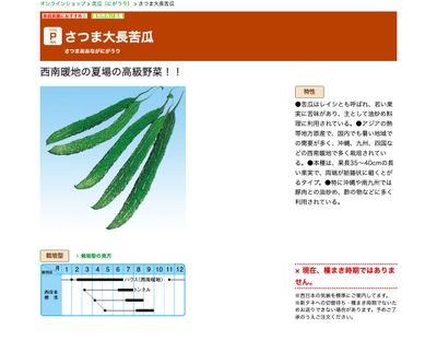 さつま大長苦瓜の画像