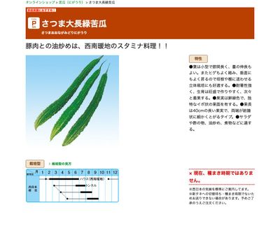 さつま大長緑苦瓜の画像