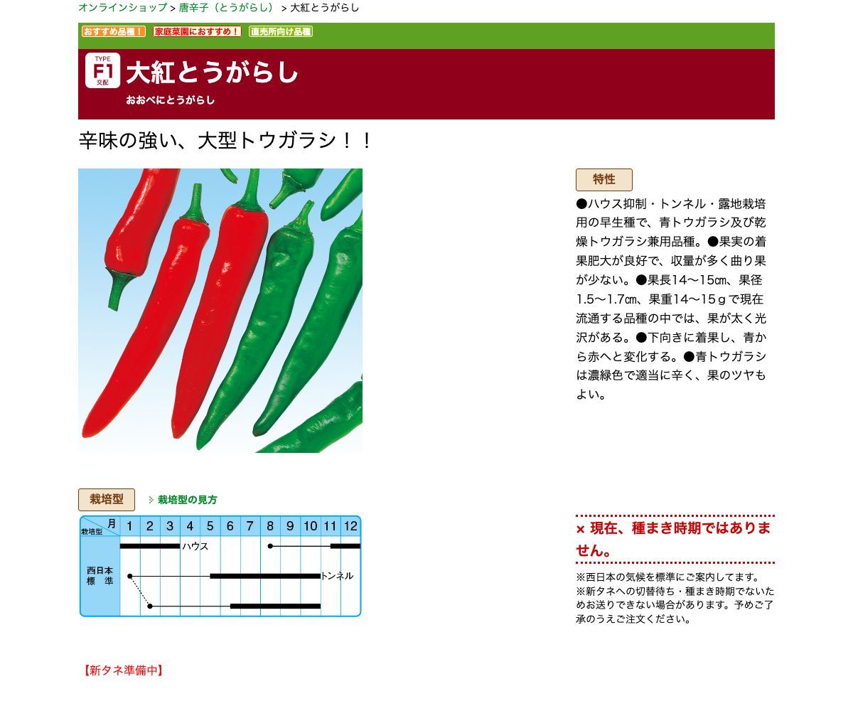 大紅とうがらし