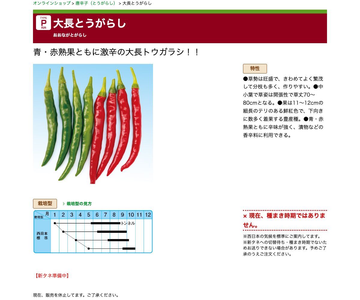 大長とうがらし