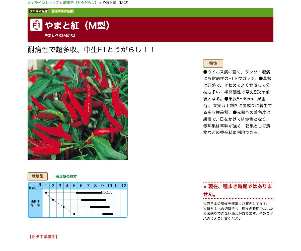 やまと紅（Ｍ型）