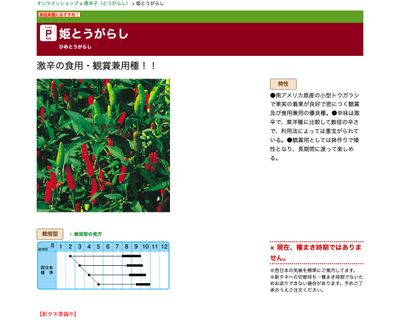 姫とうがらしの画像