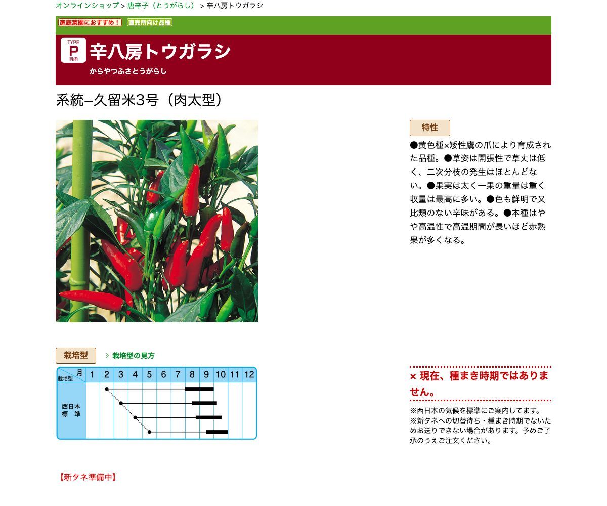 辛八房トウガラシ