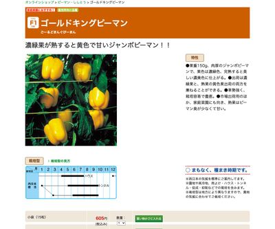 ゴールドキングピーマンの画像