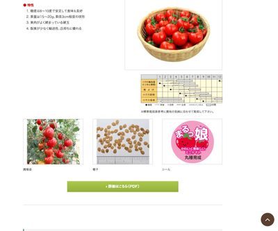 まるっ娘の画像