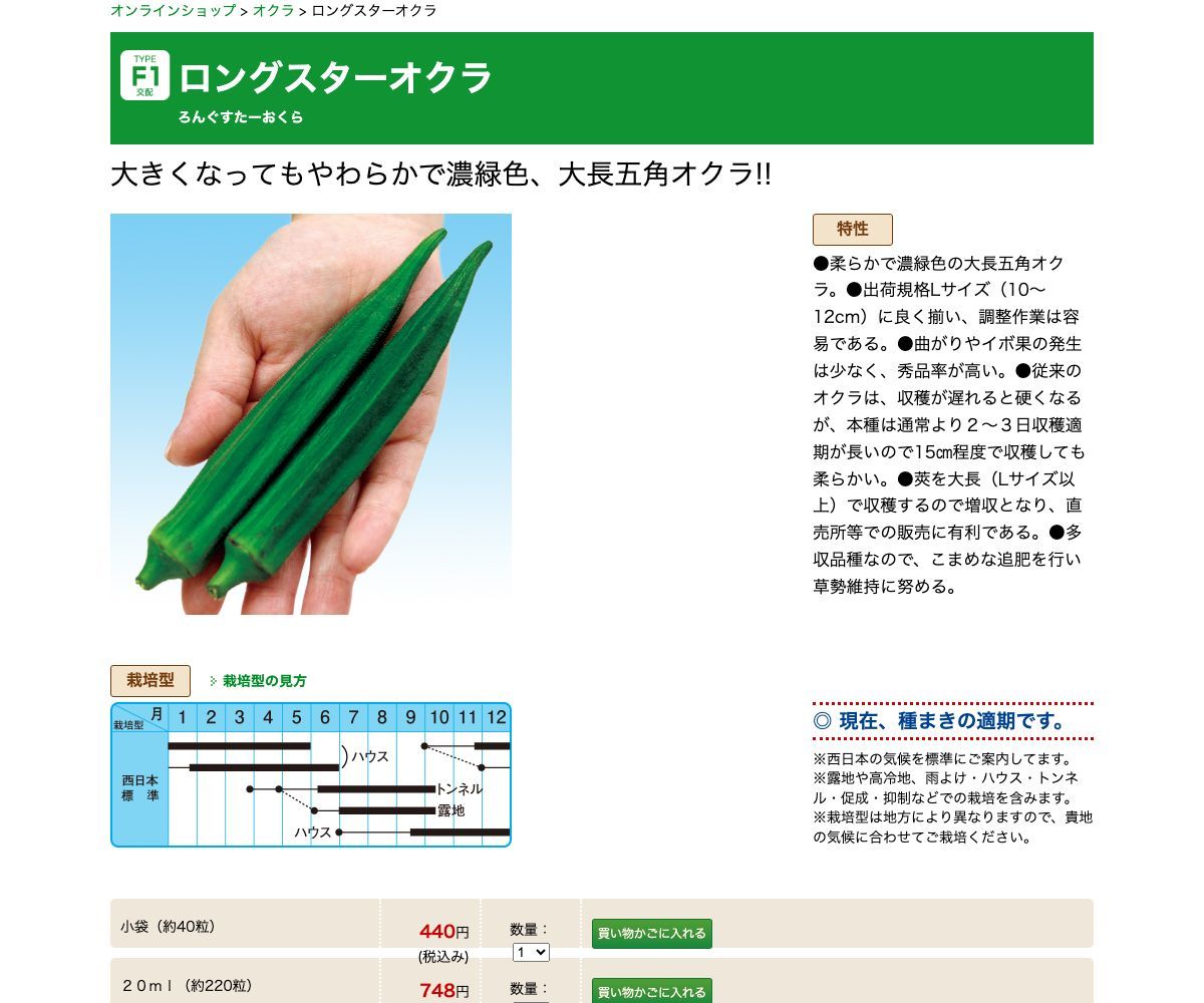 ロングスターオクラ