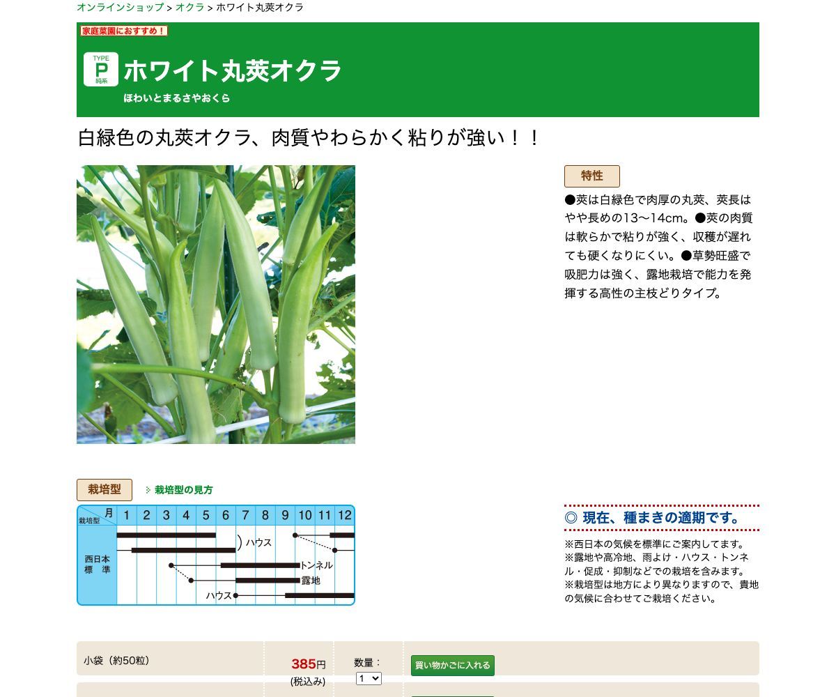 ホワイト丸莢オクラ