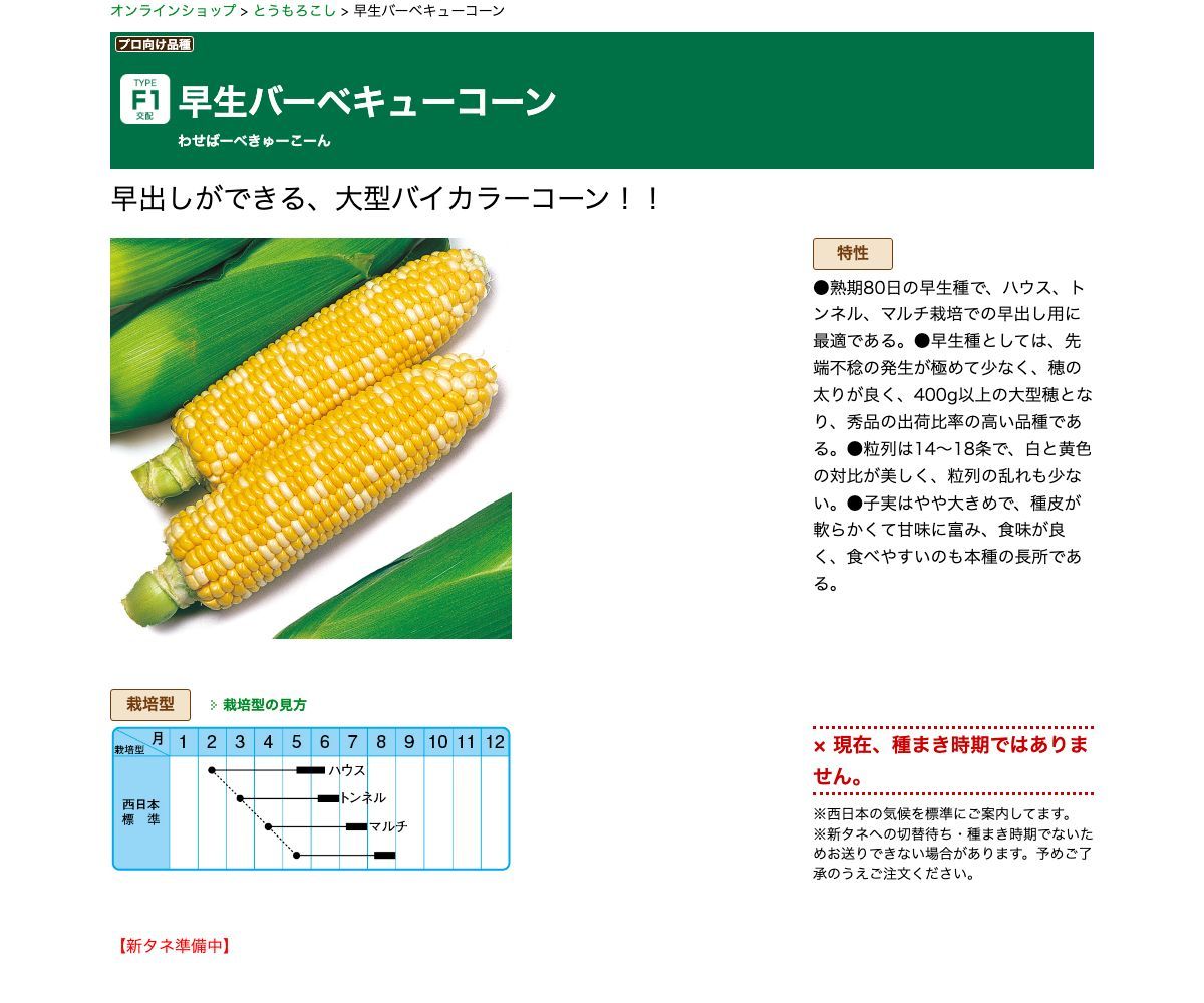 早生バーベキューコーン