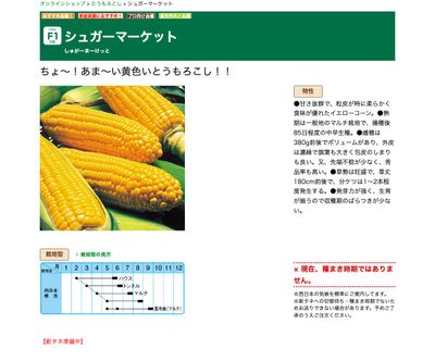 シュガーマーケットの画像