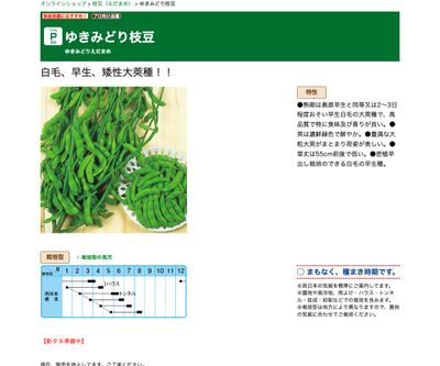 ゆきみどり枝豆の画像