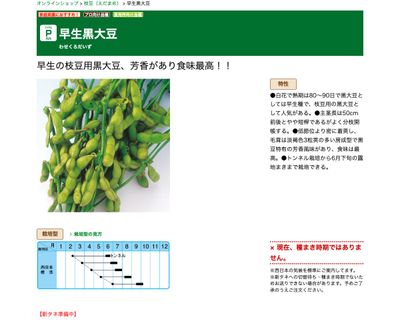 早生黒大豆の画像